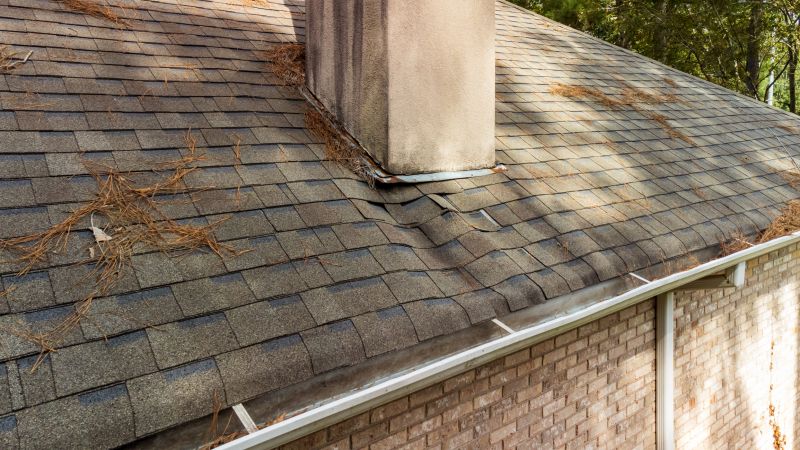 Roof Leak Detection Service